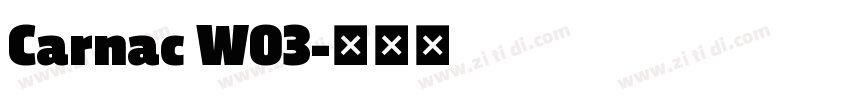 Carnac W03字体转换